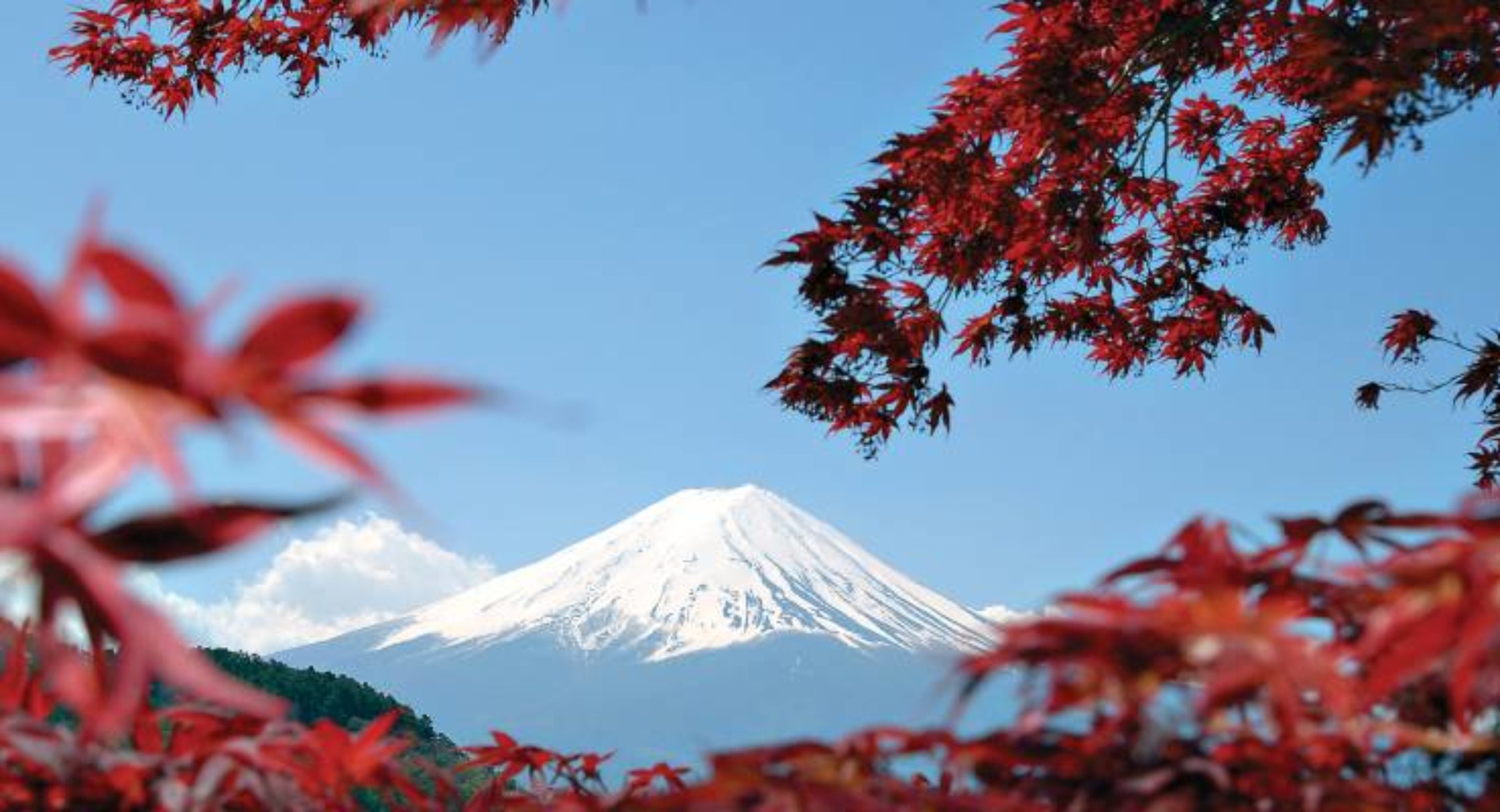 kinkaku